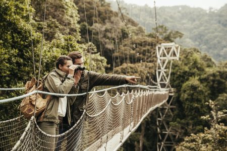 3-Day Nyungwe Chimpanzee Trek and Canopy Walk Safari in Rwanda