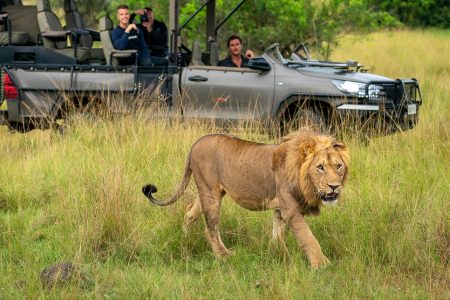 Visit Akagera National Park