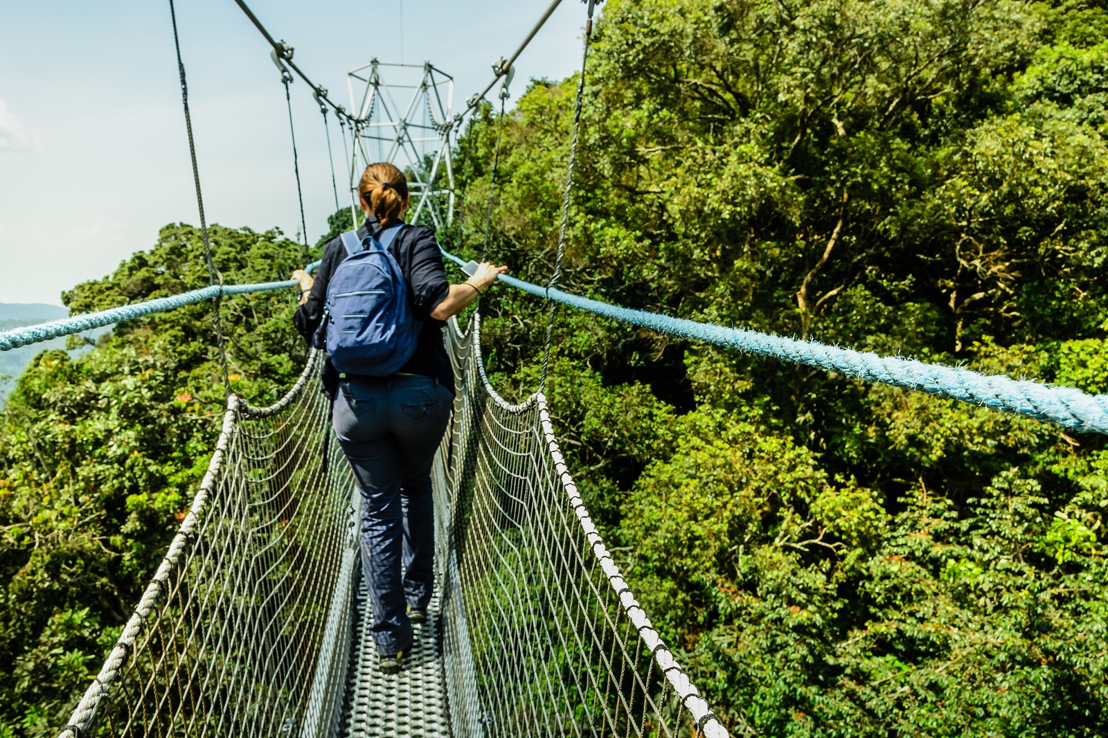Day 2: Nyungwe National Park