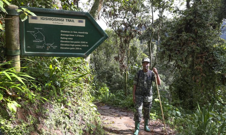 9:30 AM - Arrival at the Trekking Site: