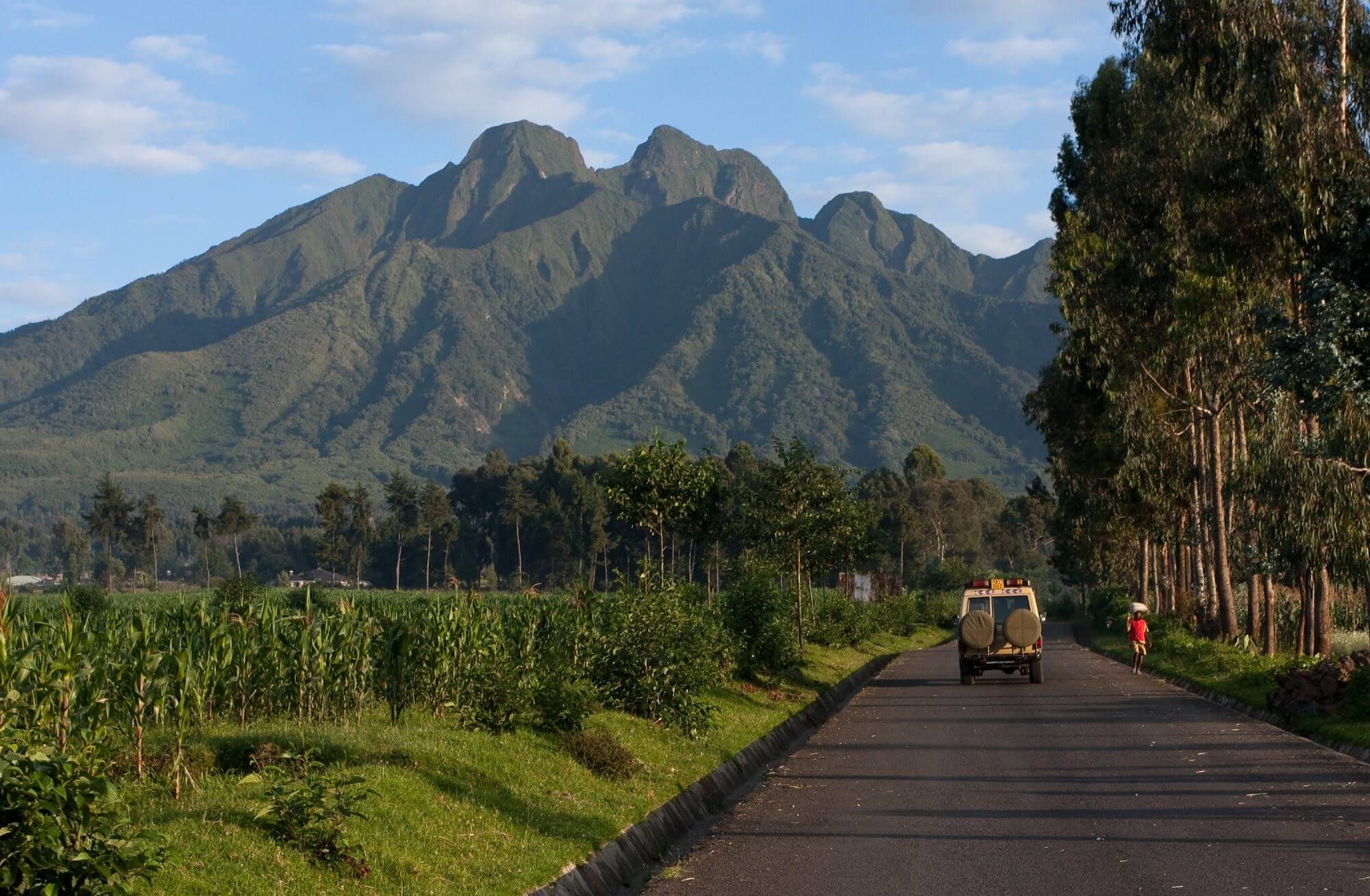 Day 1: Arrival in Kigali - Volcanoes National Park