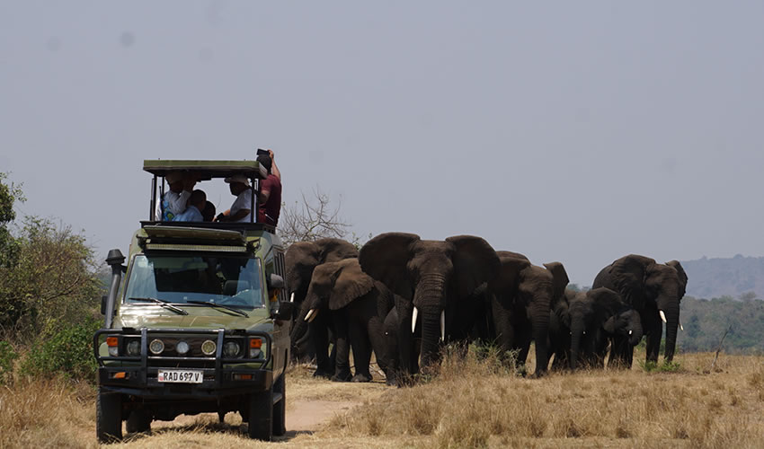 Day 2: Kigali to Akagera National Park (3-4 hours)