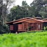 luxury-accommodation-nyungwe-forest
