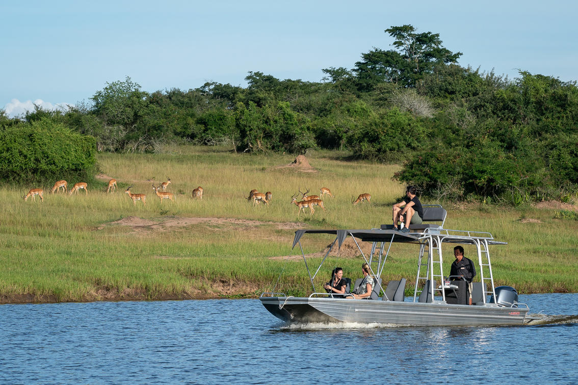 Day 2: Boat Safari and Departure
