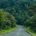road-to-nyungwe-forest