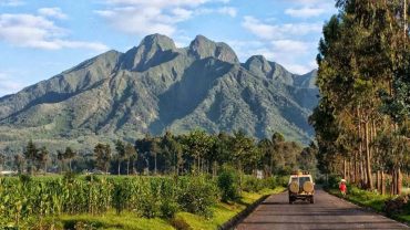 Best-time-of-the-year-to-visit-Rwanda