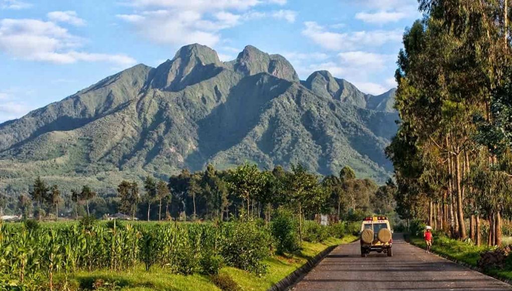 Best-time-of-the-year-to-visit-Rwanda