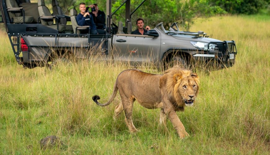 Akagera National Park