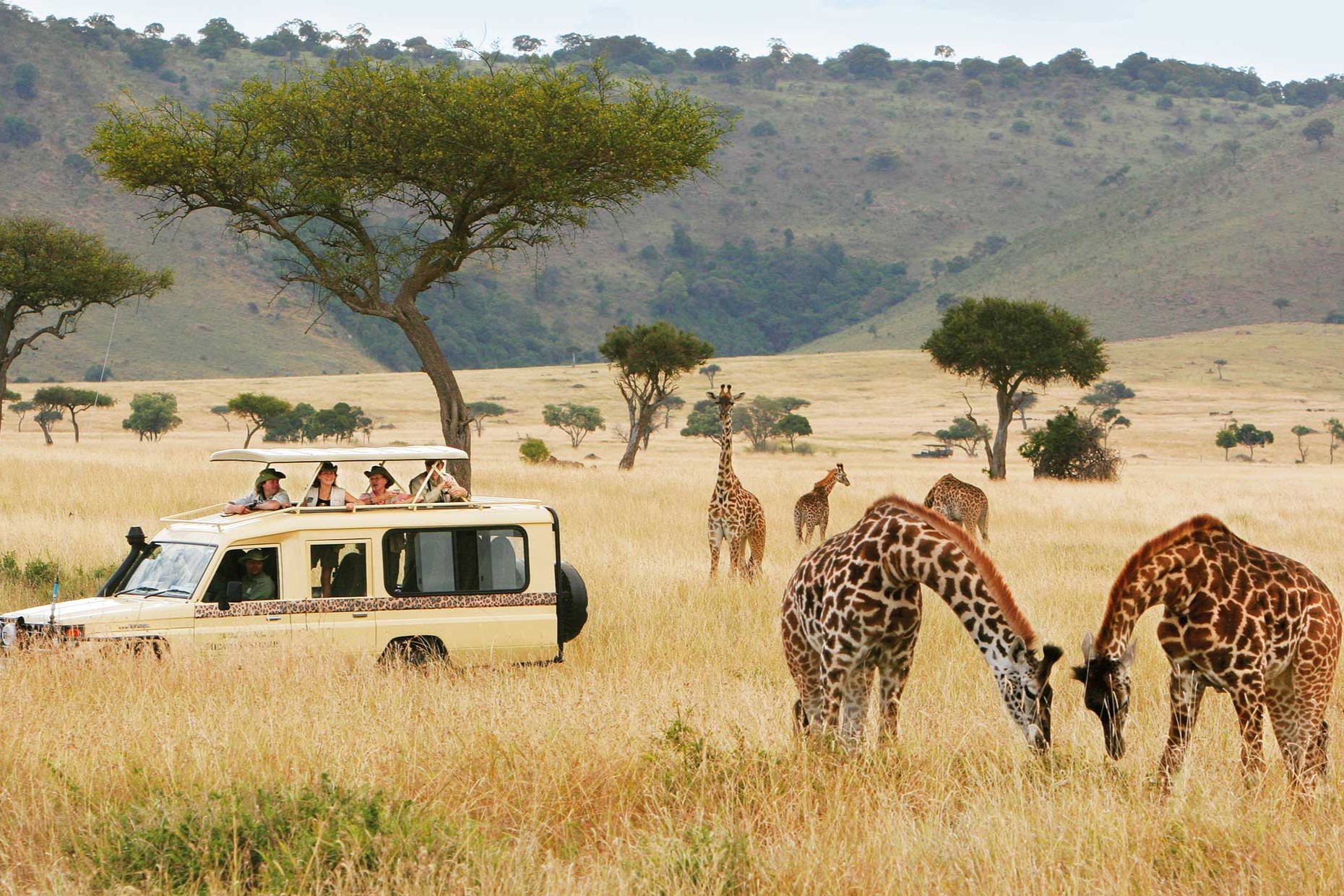 Things to do in Rwanda