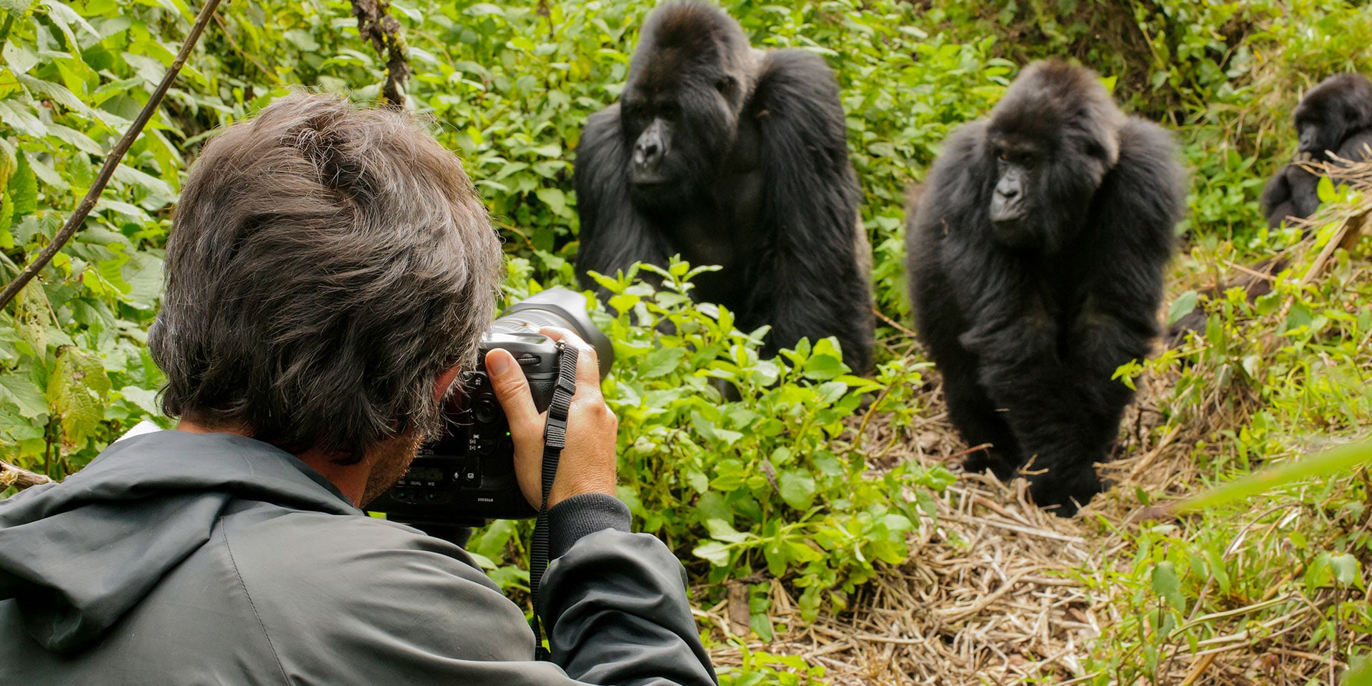 Things to do in Rwanda