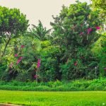 Relocate to Rwanda 20