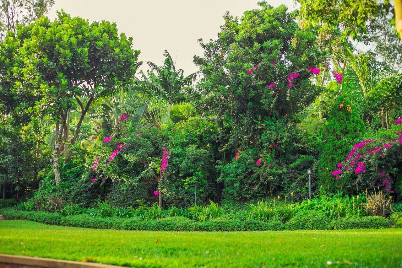 Relocate to Rwanda 20