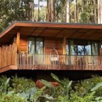 Relocate to Rwanda 9